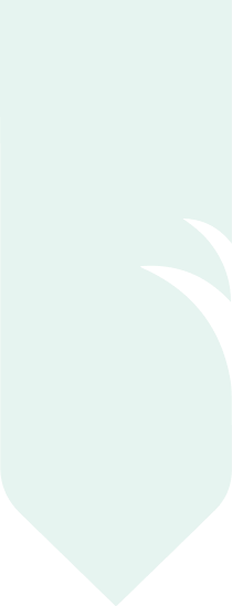 Chào tất cả mọi người!