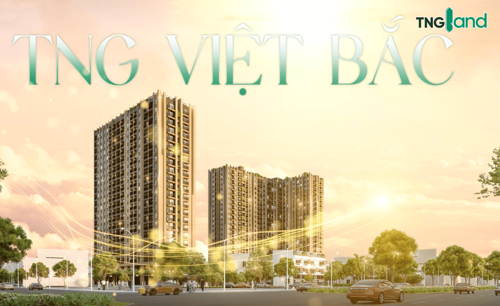 NOXH TNG VIỆT BẮC